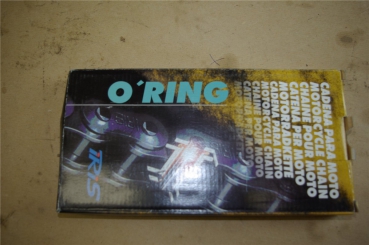Kette O-Ring Iris HTP 520 100 Glieder Nietschloss