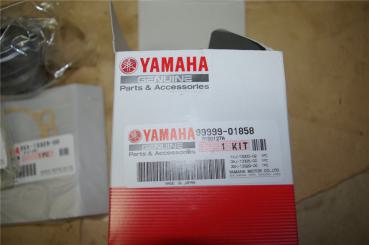 Yamaha XT600 43F 2KF usw. Tenere 1VJ Ölpumpe Oilpump