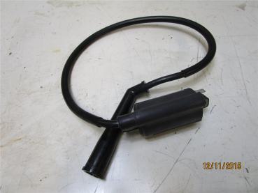 Sachs Roadster800 Zündspule ignition coil kurzes Kabel used