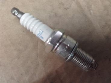 Beta X-Trainer300 Evo EVO300 125 250 Zündkerze NGK Iridio GR7CI spark plug