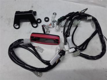 Beta RR 4Takt RR350 RR450 RR525 2006-2012 Tacho Tachometer mit Kabelbaum Instrument Umbausatz
