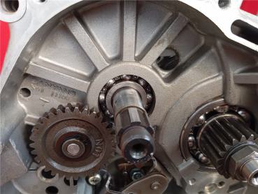 Sym Husky125 Husky 125 N01 N125A-6 Rumpmotor Getriebe Kurbelwelle Polrad Freilauf 1996-2005