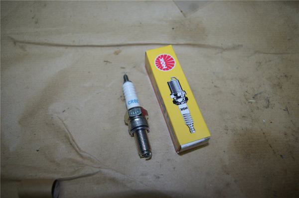 Sachs ZX125 ZZ125 ab 2013 Zündkerze spark plug NEU NEW CR7E NGK