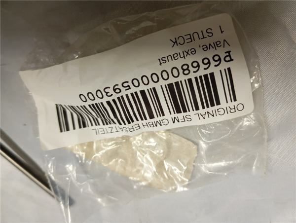 Sachs SFM zz125 ZX125 ab 2009 Auslaßventil auslassventil exhaust valve str125gs